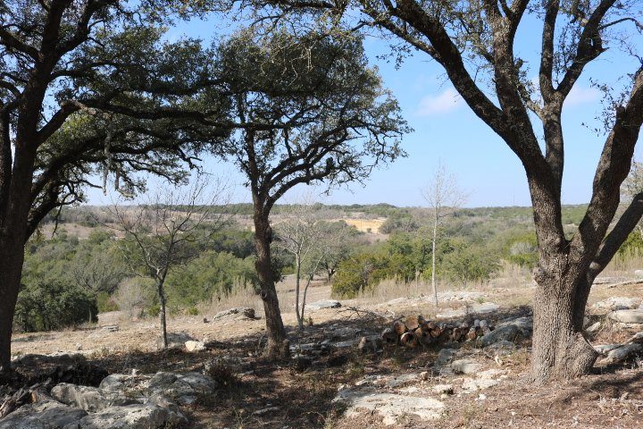 Live oaks and open brush country under a blue sky on Twin Canyons Ranch
